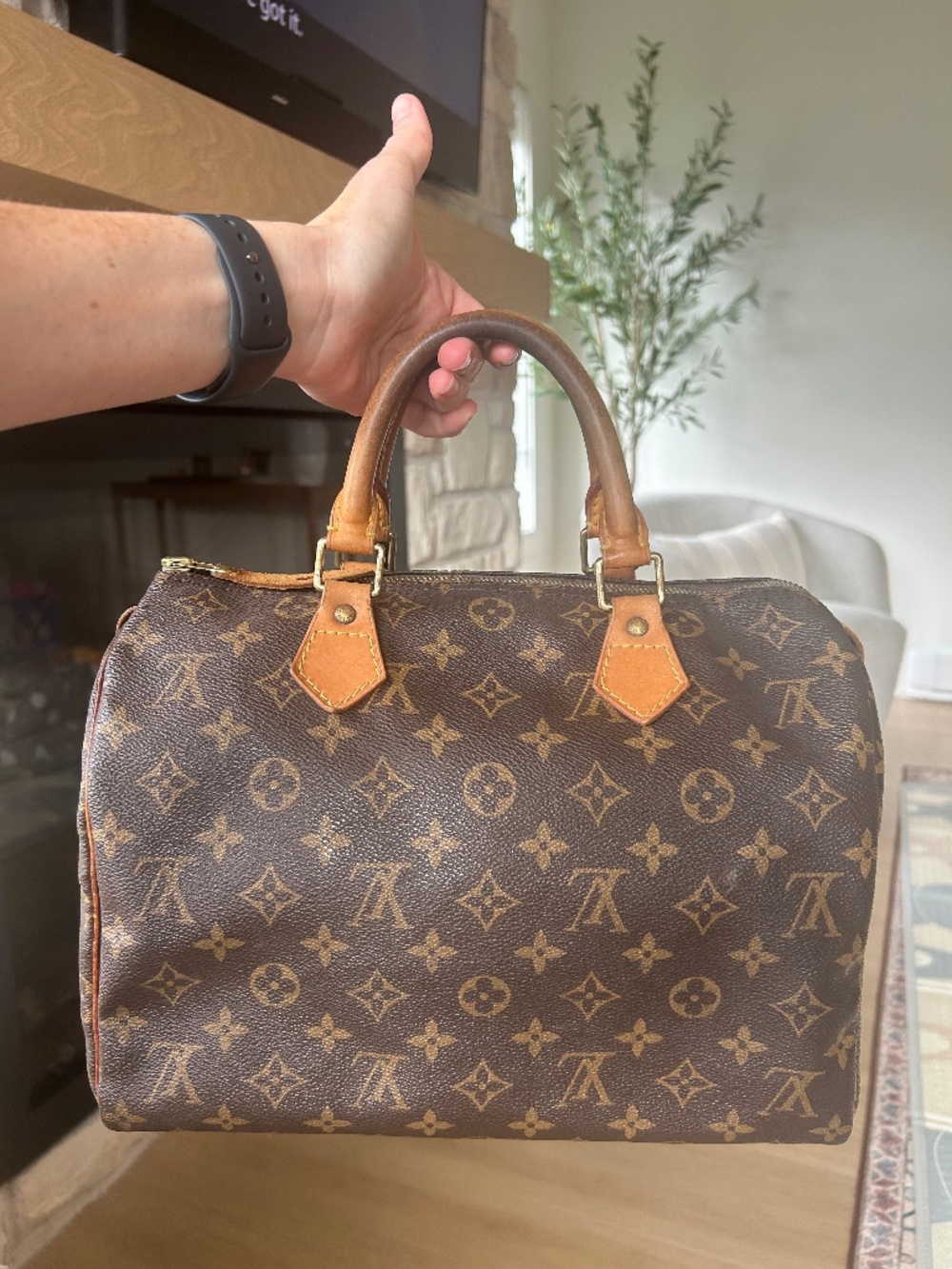 Louis Vuitton Speedy 30 Vintage